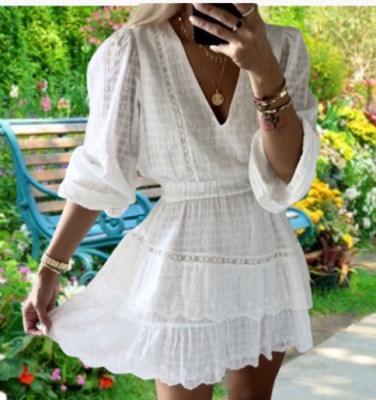 zara embroidered lace insert dress